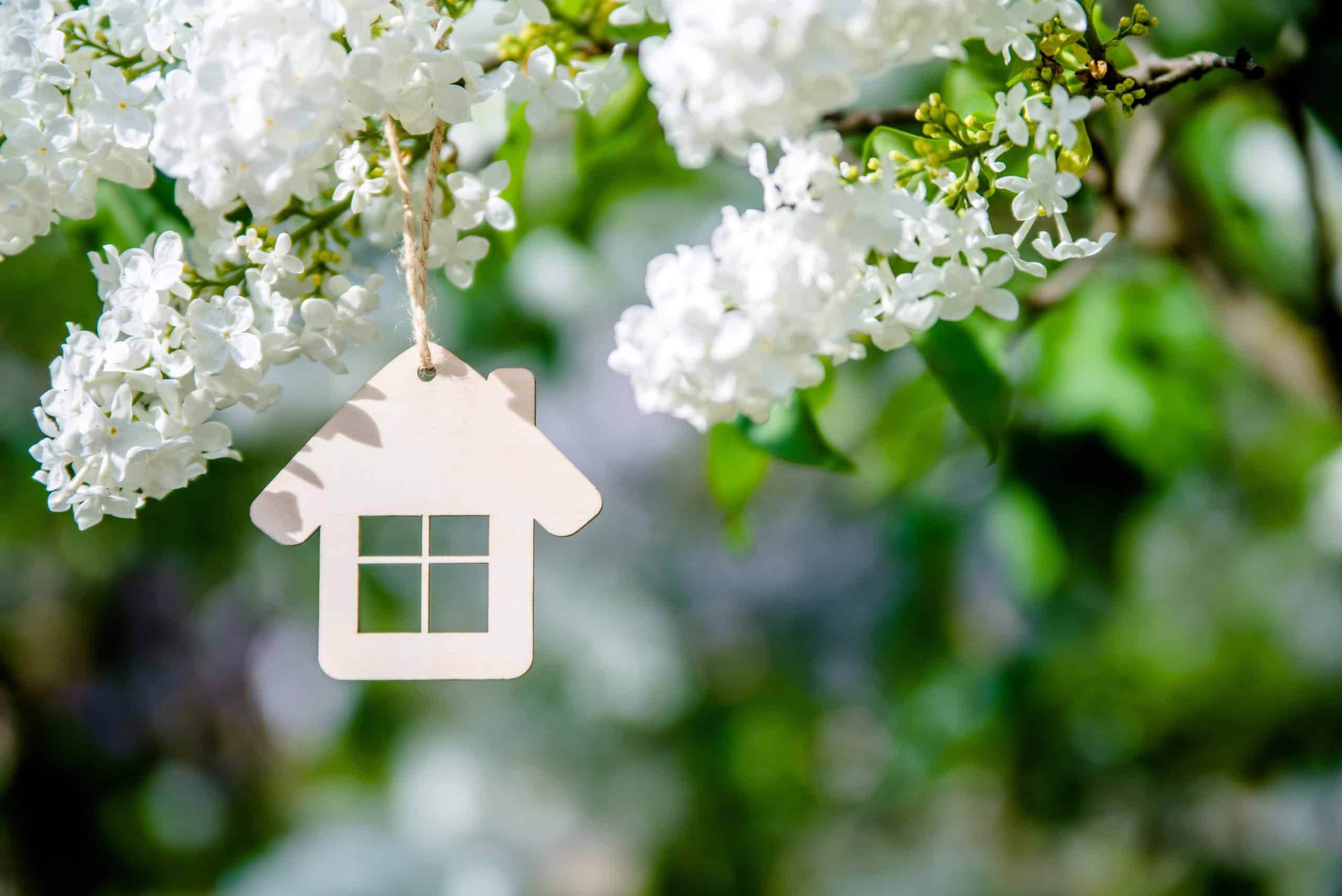Springtime is Here: Tackling Common Issues within Condominium Communities