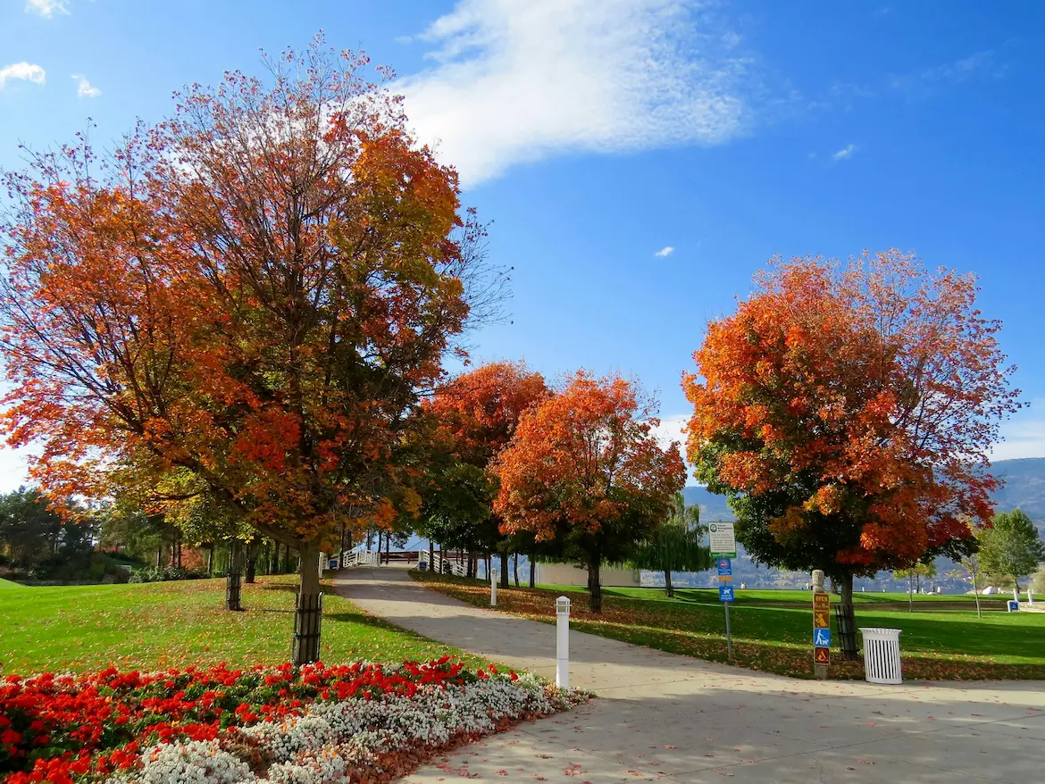 Well-maintained community park landscaping overseen by HOA management.