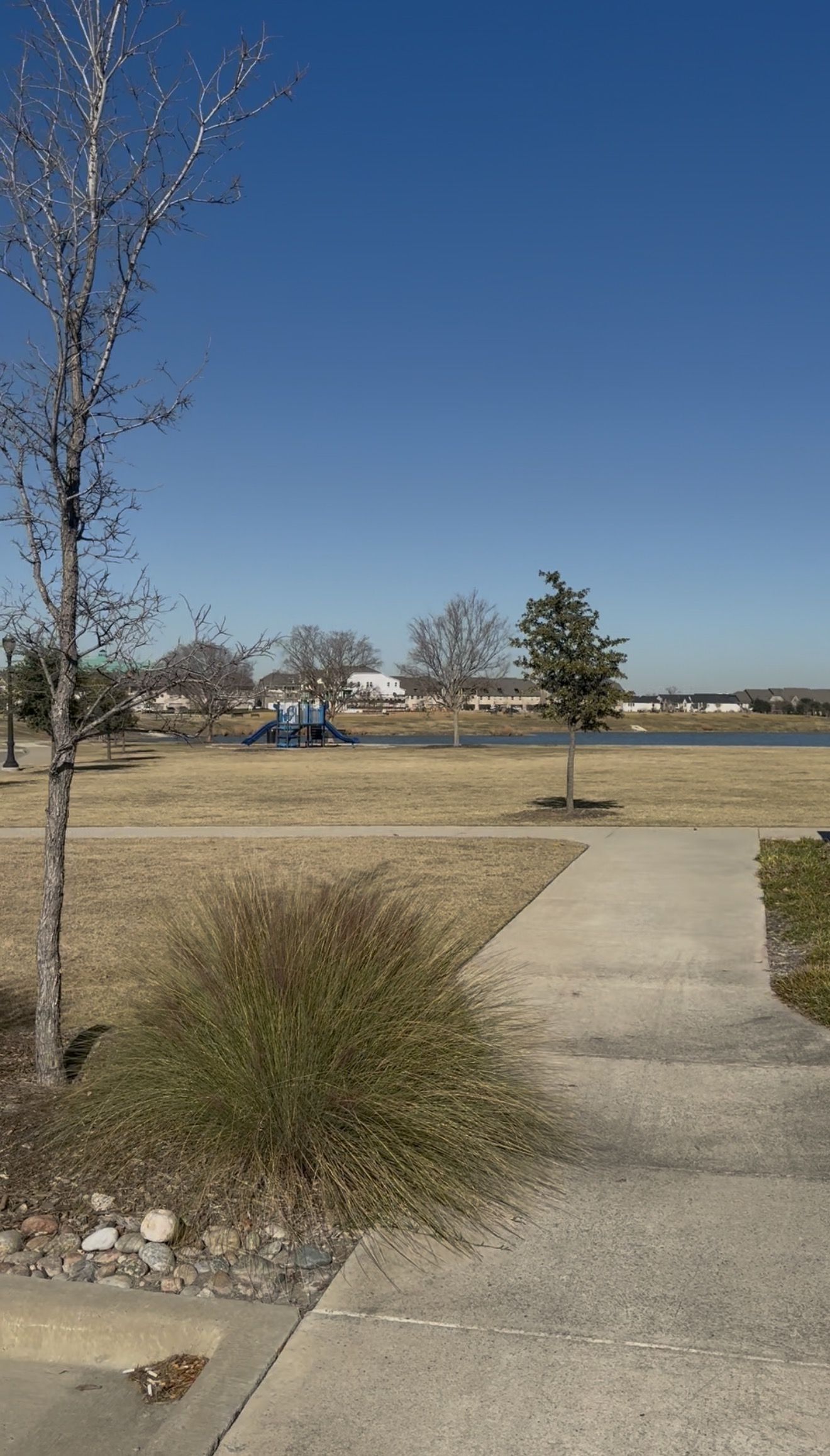 Walking path and open park space at Mercer Residential West reflecting HOA community improvements