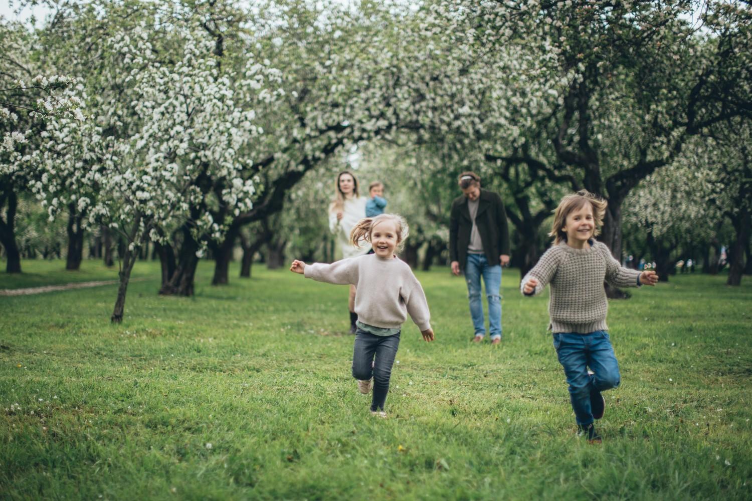 Families enjoying a large shared green space, reflecting large-scale community management focused on community amenities and outdoor areas.
