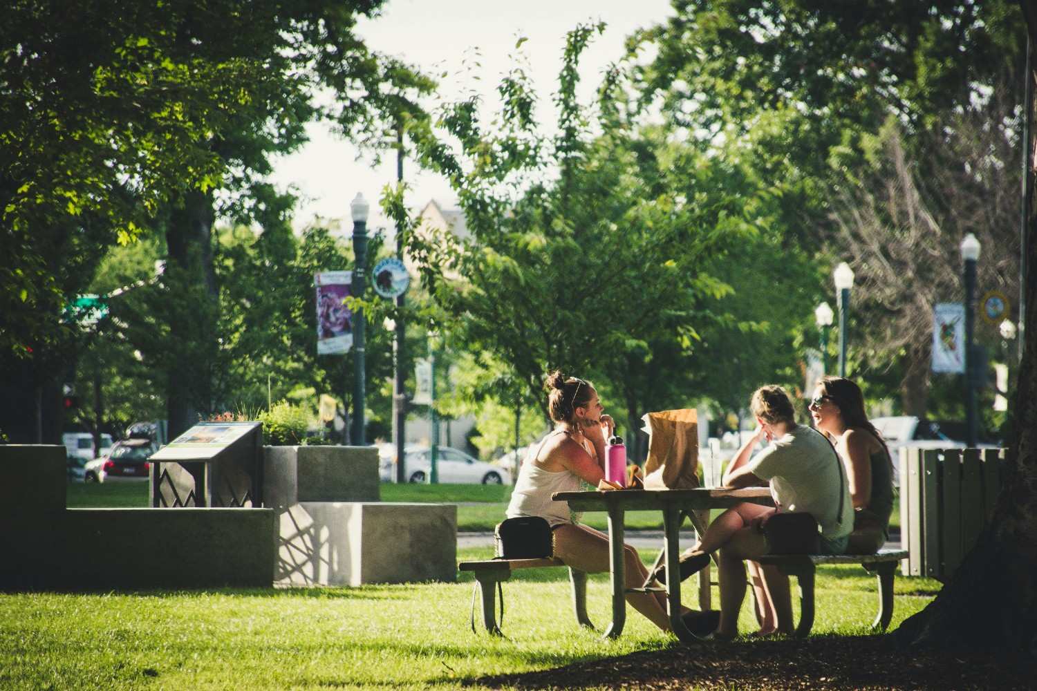 Residents gathering at a picnic area in a Houston neighborhood park.