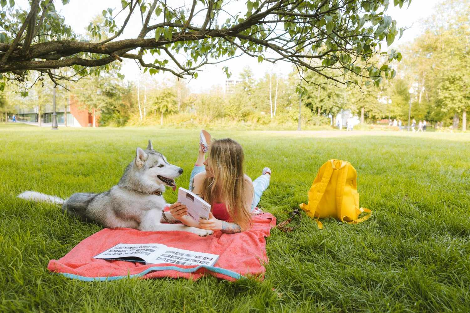 Resident relaxing with a dog in a green community park, highlighting quality-of-life amenities managed by HOA and community association professionals in San Antonio.